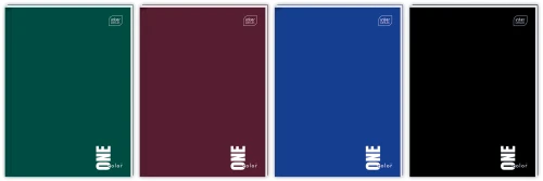 Interdruk Brulion A4 96kartek linia  One Color