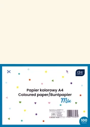 Interdruk Papier kolorowy A4 Basic 100 ark.MIX