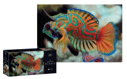 Interdruk Puzzle 250 Colourf.Nature 11Mandarinfish