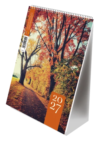 T-101-3-13.png